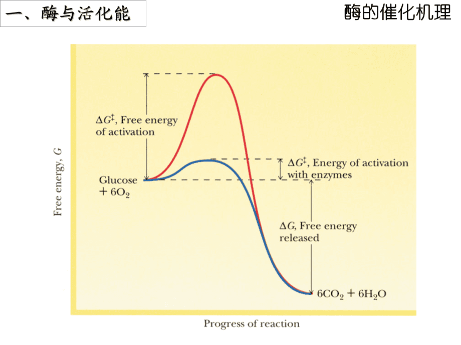 包含%混酶4的词条
